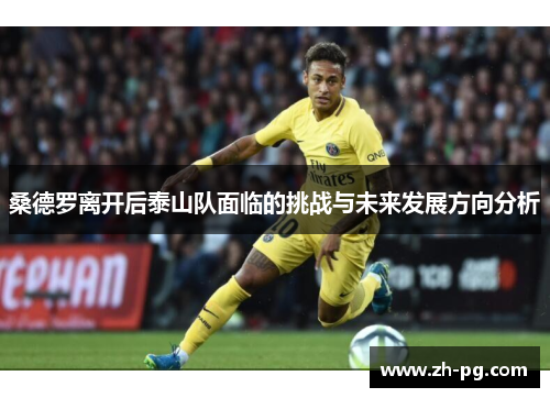 桑德罗离开后泰山队面临的挑战与未来发展方向分析