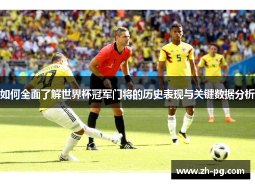 如何全面了解世界杯冠军门将的历史表现与关键数据分析